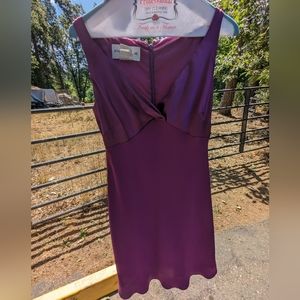 Purple Dress